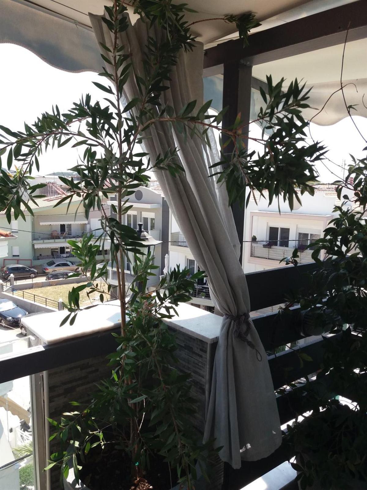 Green House Néa Péramos 외부 사진