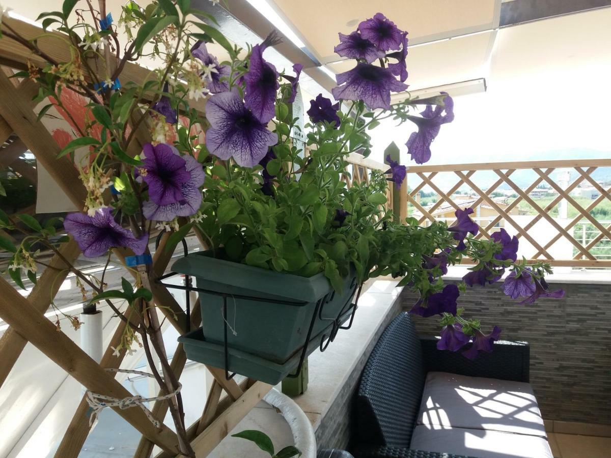 Green House Néa Péramos 외부 사진